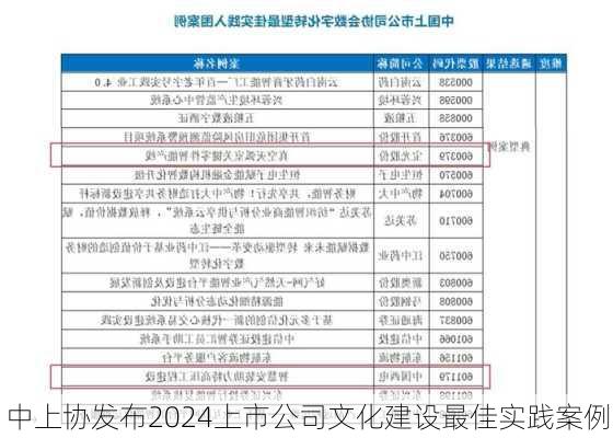 中上协发布2024上市公司文化建设最佳实践案例