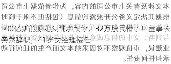 500亿新能源龙头跳水跌停，32万股民懵了！董事长突然辞职，41岁女经理接任-第2张图片-