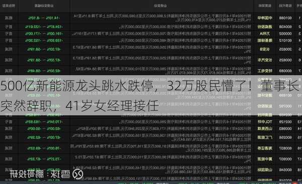 500亿新能源龙头跳水跌停，32万股民懵了！董事长突然辞职，41岁女经理接任-第3张图片-