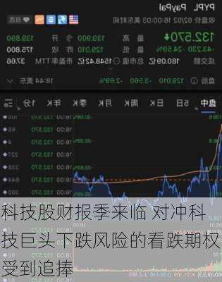 科技股财报季来临 对冲科技巨头下跌风险的看跌期权受到追捧