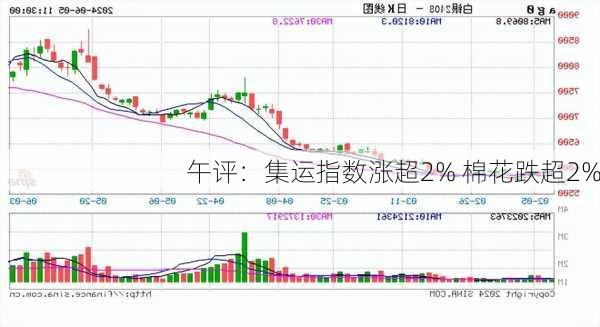 午评：集运指数涨超2% 棉花跌超2%