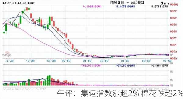 午评：集运指数涨超2% 棉花跌超2%-第3张图片-