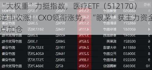 “大权重”力挺指数，医疗ETF（512170）逆市收涨！CXO领衔涨势，“眼茅”获主力资金重点加仓-第1张图片-