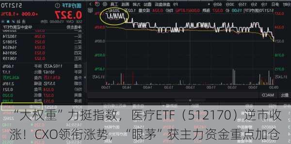 “大权重”力挺指数，医疗ETF（512170）逆市收涨！CXO领衔涨势，“眼茅”获主力资金重点加仓-第3张图片-