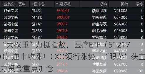 “大权重”力挺指数，医疗ETF（512170）逆市收涨！CXO领衔涨势，“眼茅”获主力资金重点加仓-第2张图片-