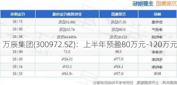 万辰集团(300972.SZ)：上半年预盈80万元-120万元-第1张图片-