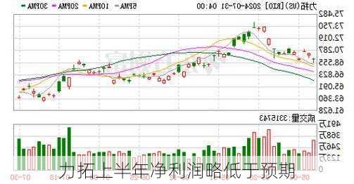 力拓上半年净利润略低于预期
