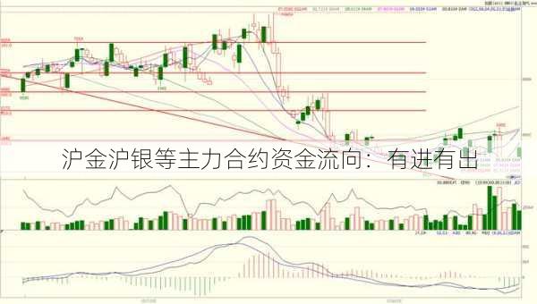 沪金沪银等主力合约资金流向：有进有出-第1张图片-