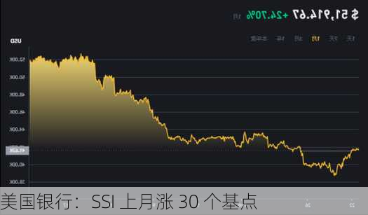 美国银行：SSI 上月涨 30 个基点