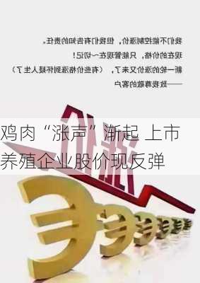 鸡肉“涨声”渐起 上市养殖企业股价现反弹-第1张图片-