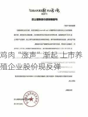 鸡肉“涨声”渐起 上市养殖企业股价现反弹-第2张图片-