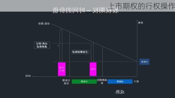 上市期权的行权操作-第2张图片-