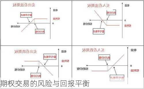 期权交易的风险与回报平衡