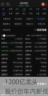 1200亿龙头，股价创年内新低-第1张图片-