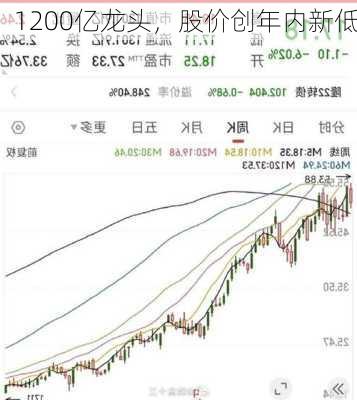 1200亿龙头，股价创年内新低-第3张图片-