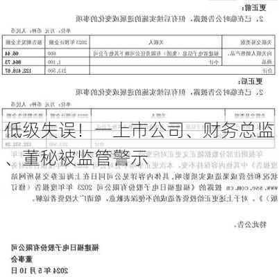 低级失误！一上市公司、财务总监、董秘被监管警示-第1张图片-