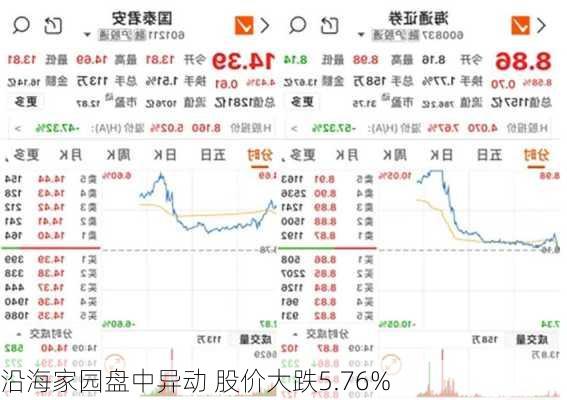 沿海家园盘中异动 股价大跌5.76%-第1张图片-