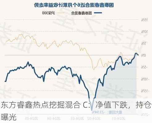 东方睿鑫热点挖掘混合 C：净值下跌，持仓曝光-第1张图片-