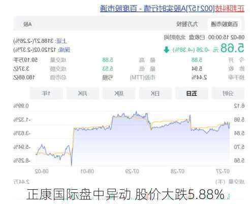 正康国际盘中异动 股价大跌5.88%-第2张图片-