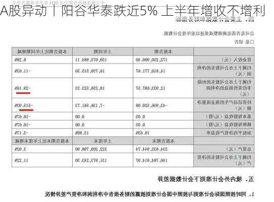 A股异动丨阳谷华泰跌近5% 上半年增收不增利