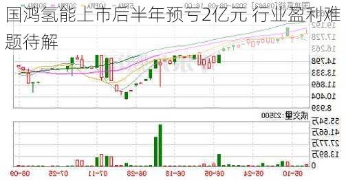 国鸿氢能上市后半年预亏2亿元 行业盈利难题待解