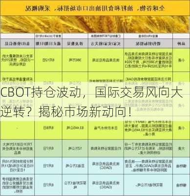 CBOT持仓波动，国际交易风向大逆转？揭秘市场新动向！-第3张图片-