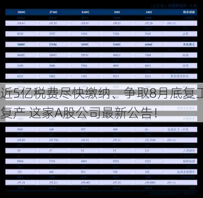 近5亿税费尽快缴纳、争取8月底复工复产 这家A股公司最新公告！