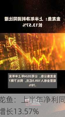 金龙鱼：上半年净利同比增长13.57%