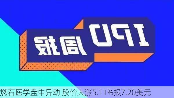 燃石医学盘中异动 股价大涨5.11%报7.20美元-第1张图片-