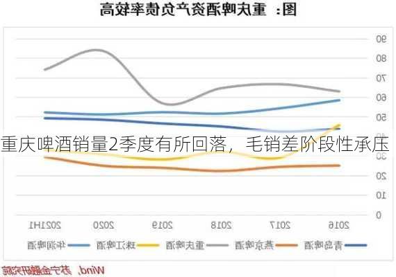 重庆啤酒销量2季度有所回落，毛销差阶段性承压-第1张图片-