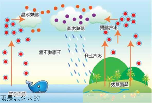 雨是怎么来的-第1张图片-