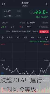 跌超20%！建行：上调风险等级！-第3张图片-