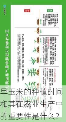 早玉米的种植时间和其在农业生产中的重要性是什么？-第1张图片-