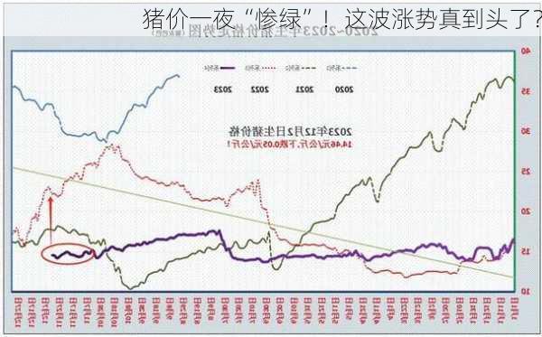 猪价一夜“惨绿”！这波涨势真到头了？-第3张图片-