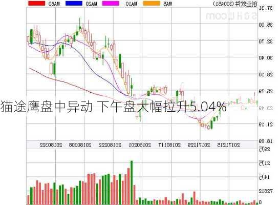 猫途鹰盘中异动 下午盘大幅拉升5.04%-第2张图片-