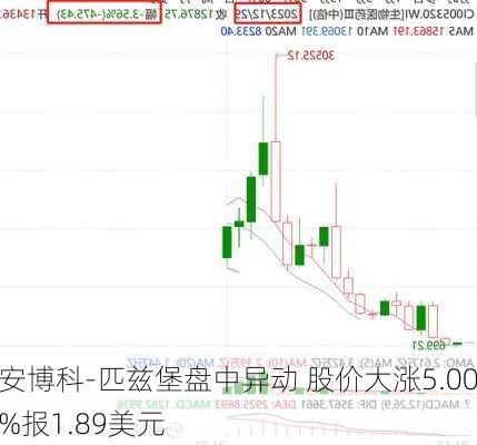 安博科-匹兹堡盘中异动 股价大涨5.00%报1.89美元