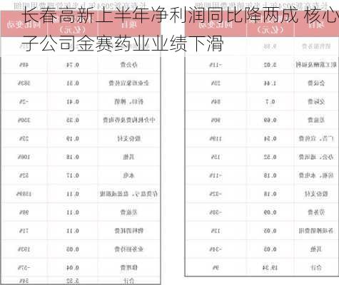 长春高新上半年净利润同比降两成 核心子公司金赛药业业绩下滑-第2张图片-