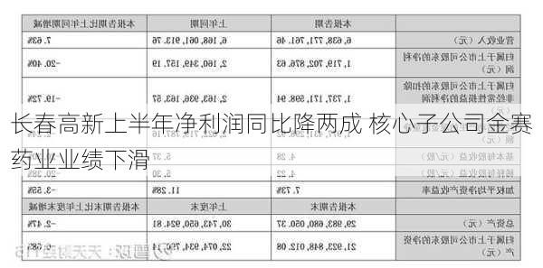 长春高新上半年净利润同比降两成 核心子公司金赛药业业绩下滑-第1张图片-