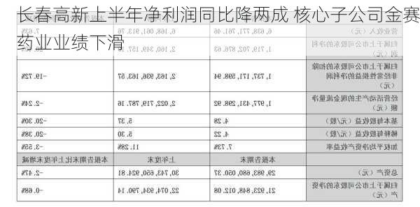 长春高新上半年净利润同比降两成 核心子公司金赛药业业绩下滑-第3张图片-