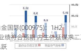 山金国际(000975)：1H24业绩符合预期 内生外延谋求二次飞跃-第1张图片-