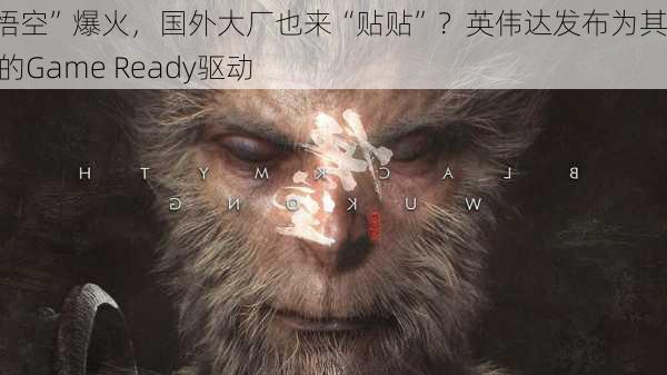 “黑悟空”爆火，国外大厂也来“贴贴”？英伟达发布为其打造的Game Ready驱动