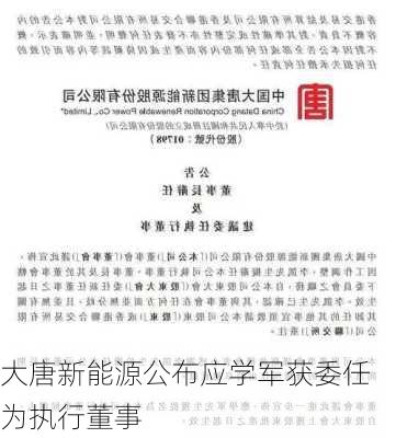 大唐新能源公布应学军获委任为执行董事