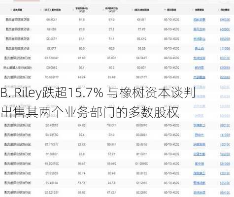 B. Riley跌超15.7% 与橡树资本谈判出售其两个业务部门的多数股权-第1张图片-