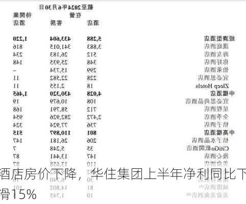 酒店房价下降，华住集团上半年净利同比下滑15%-第3张图片-