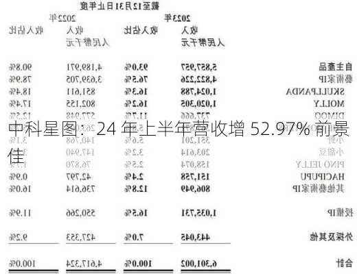 中科星图：24 年上半年营收增 52.97% 前景佳