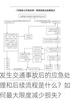 发生交通事故后的应急处理和后续流程是什么？如何最大限度减少损失？