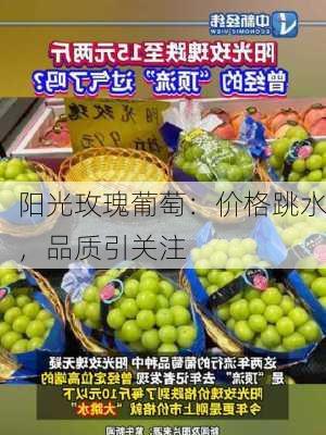 阳光玫瑰葡萄：价格跳水，品质引关注