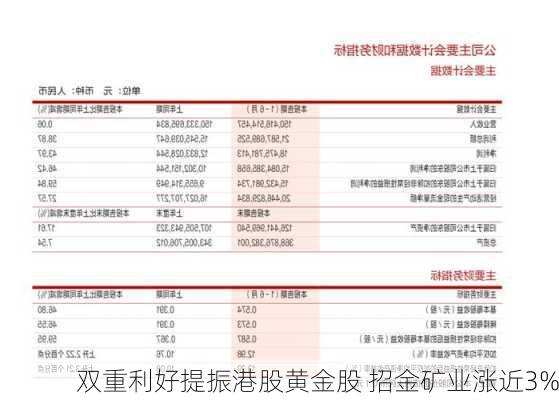 双重利好提振港股黄金股 招金矿业涨近3%-第3张图片-