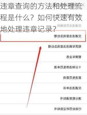 违章查询的方法和处理流程是什么？如何快速有效地处理违章记录？