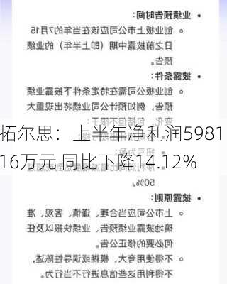 拓尔思：上半年净利润5981.16万元 同比下降14.12%